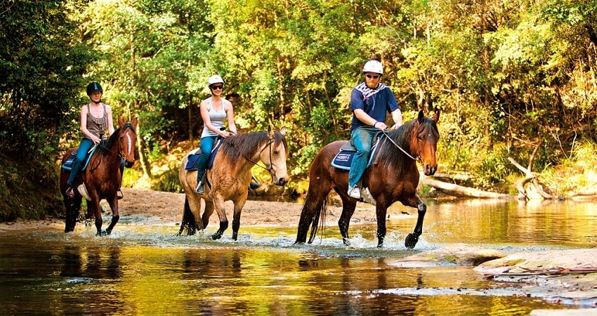 Horse Safari